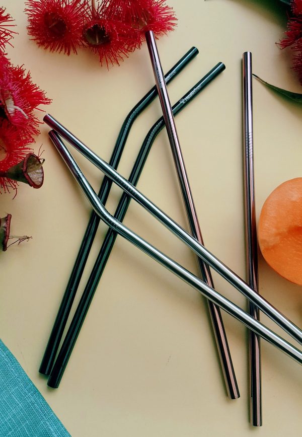 HEALTHTREE Black Stainless Steel Reusable Straws 4 Pack + Cleaning Brush