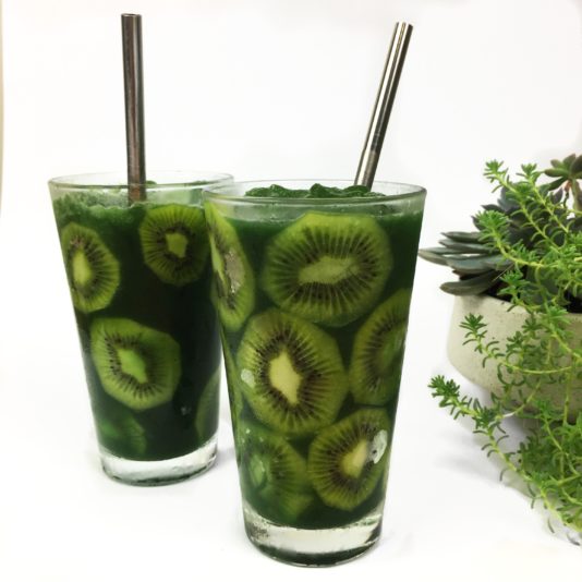 EVER ECO Stainless Steel Straws 4 Pack Straight