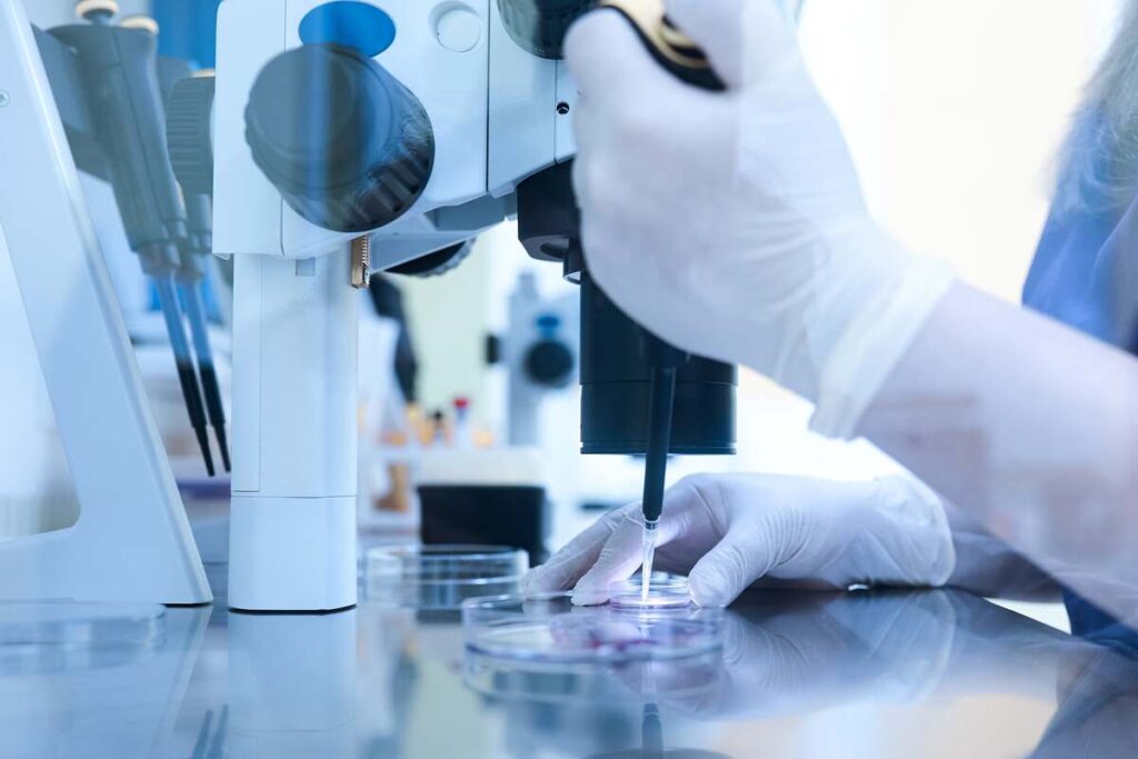 microscope to check sperm quality
